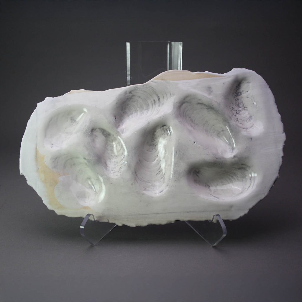 Heather Waugh Pitts artwork 'Oyster Plate for Eight, White' at Gallery78 Fredericton, New Brunswick