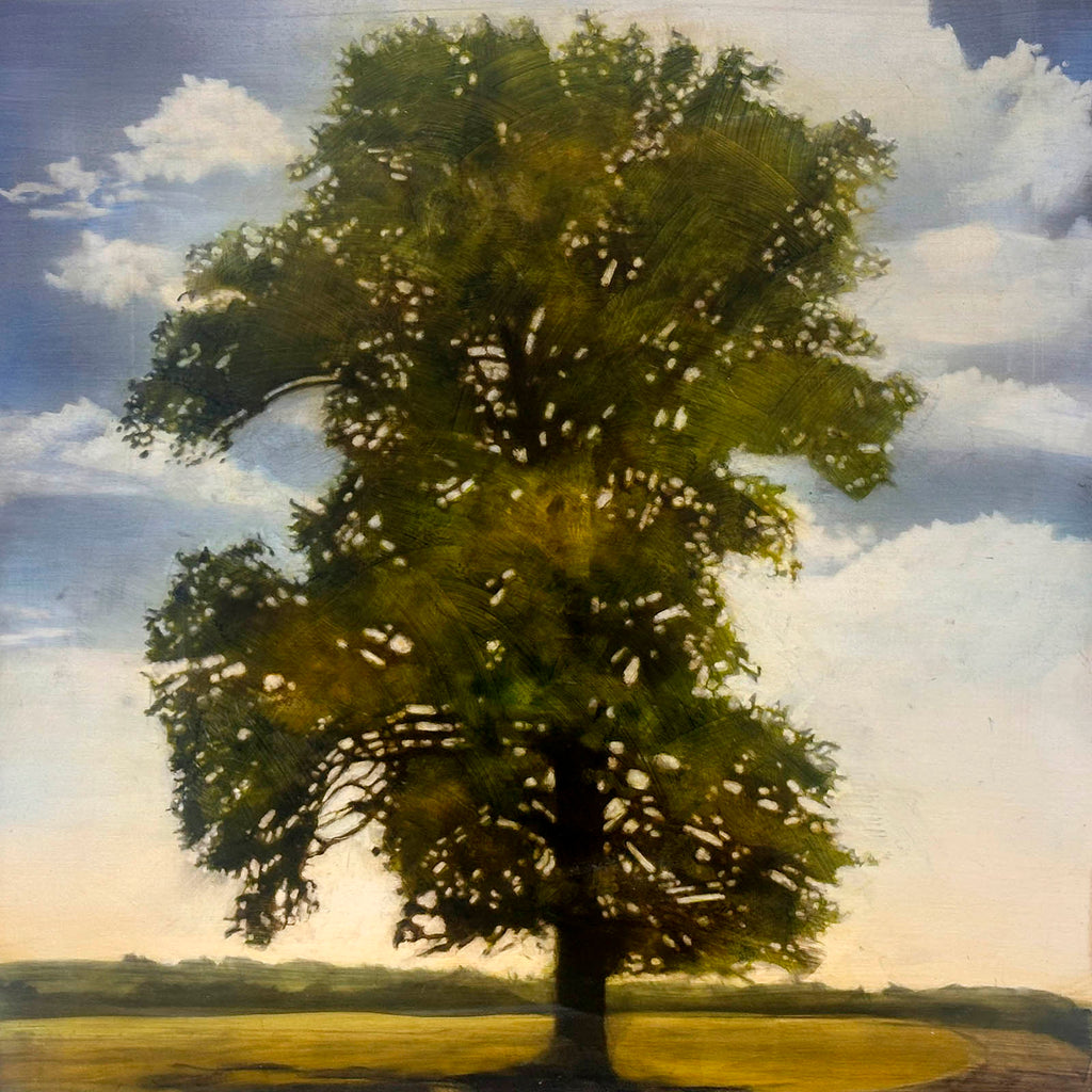 Stephen Hutchings artwork 'Tree With Road' at Gallery78 Fredericton, New Brunswick