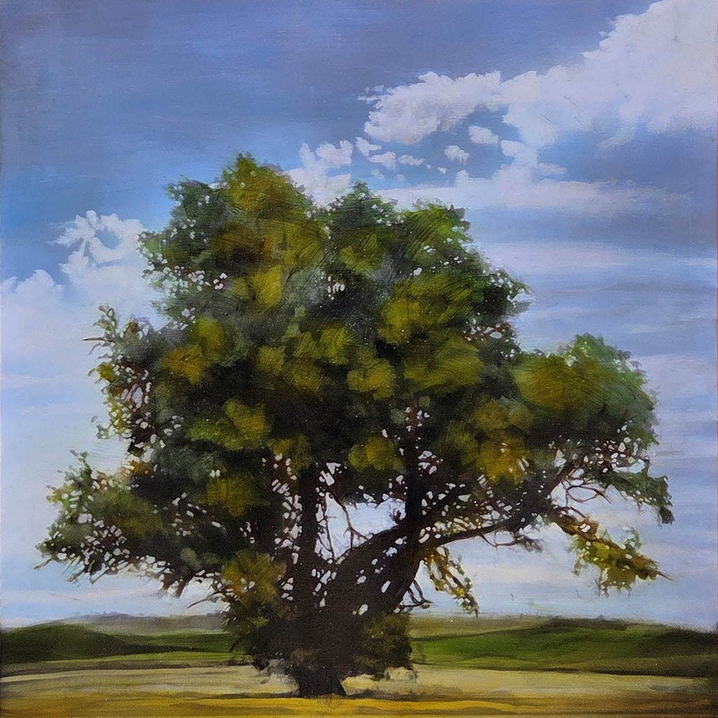 Stephen Hutchings artwork 'Tree and Field' at Gallery78 Fredericton, New Brunswick