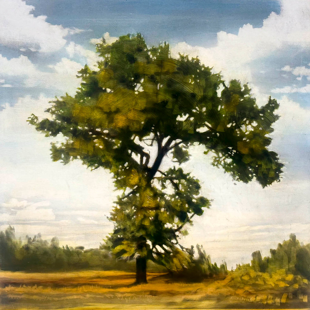 Stephen Hutchings artwork 'Single Tree' at Gallery78 Fredericton, New Brunswick