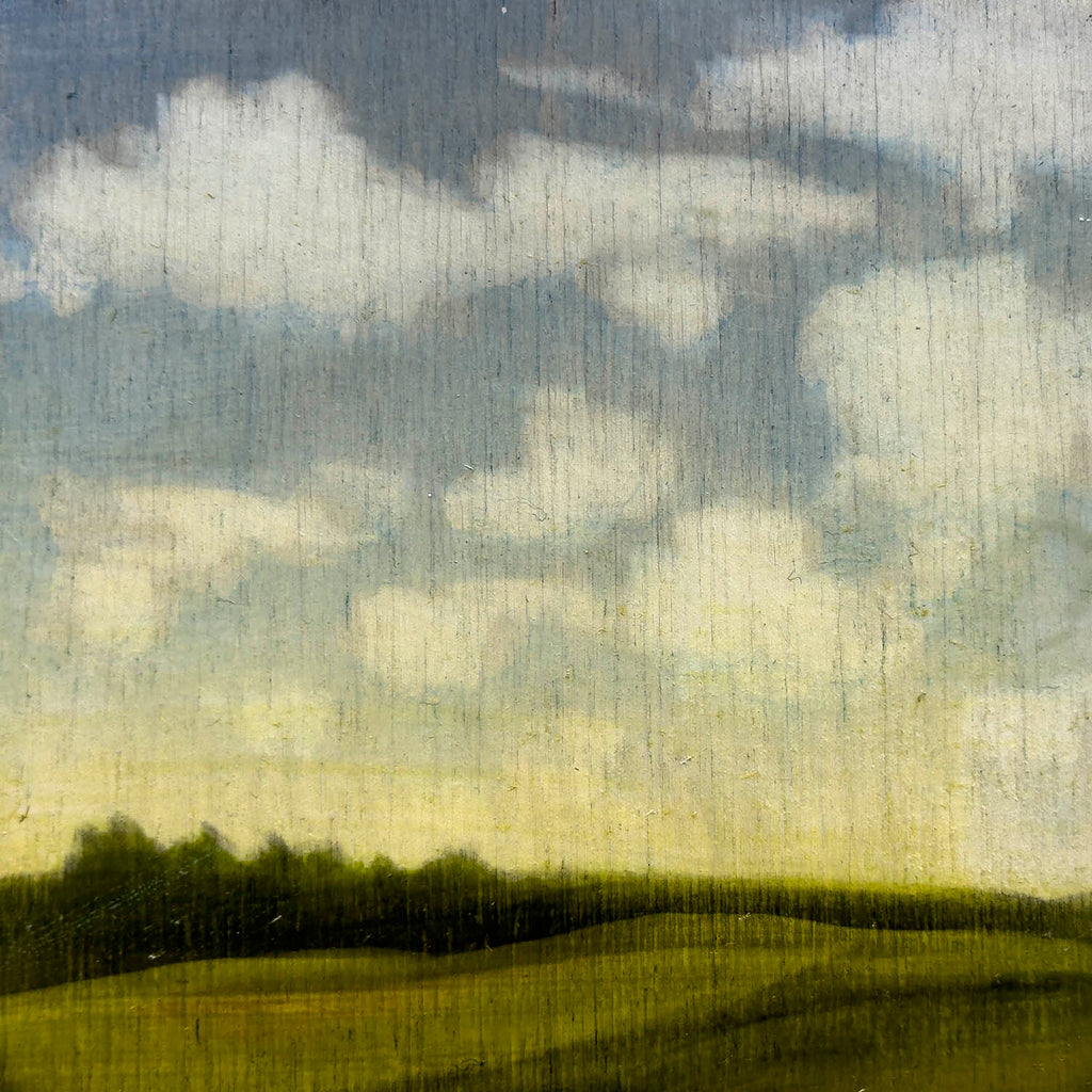 Stephen Hutchings artwork 'Never-Ending Landscape of New Brunswick 6' at Gallery78 Fredericton, New Brunswick