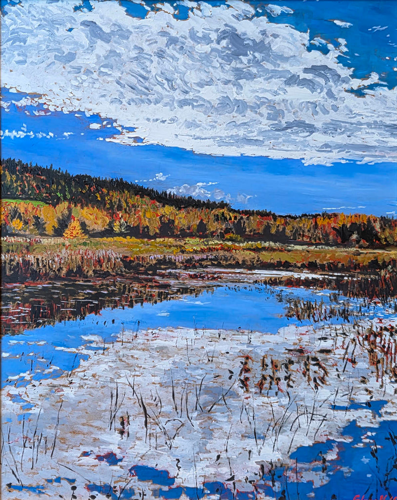 Glenn Hall artwork 'Wetlands, Darling's Island' at Gallery78 Fredericton, New Brunswick