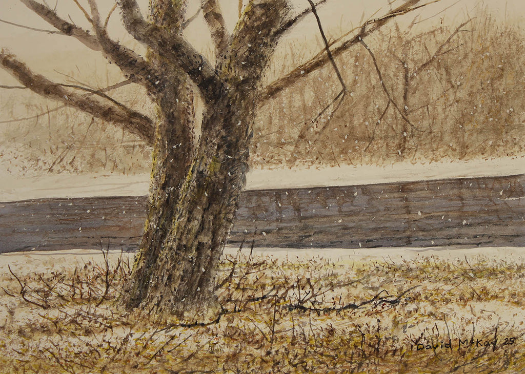 David McKay artwork 'Quietly Falling' at Gallery78 Fredericton, New Brunswick