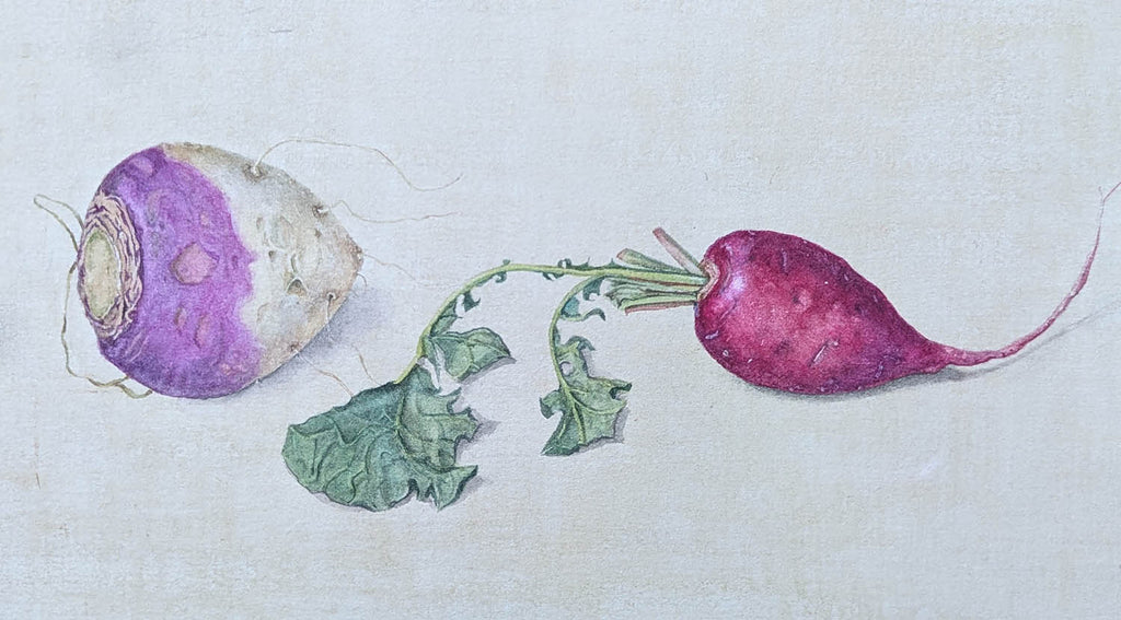 Cathy Ross artwork 'Root Vegetables' at Gallery78 Fredericton, New Brunswick
