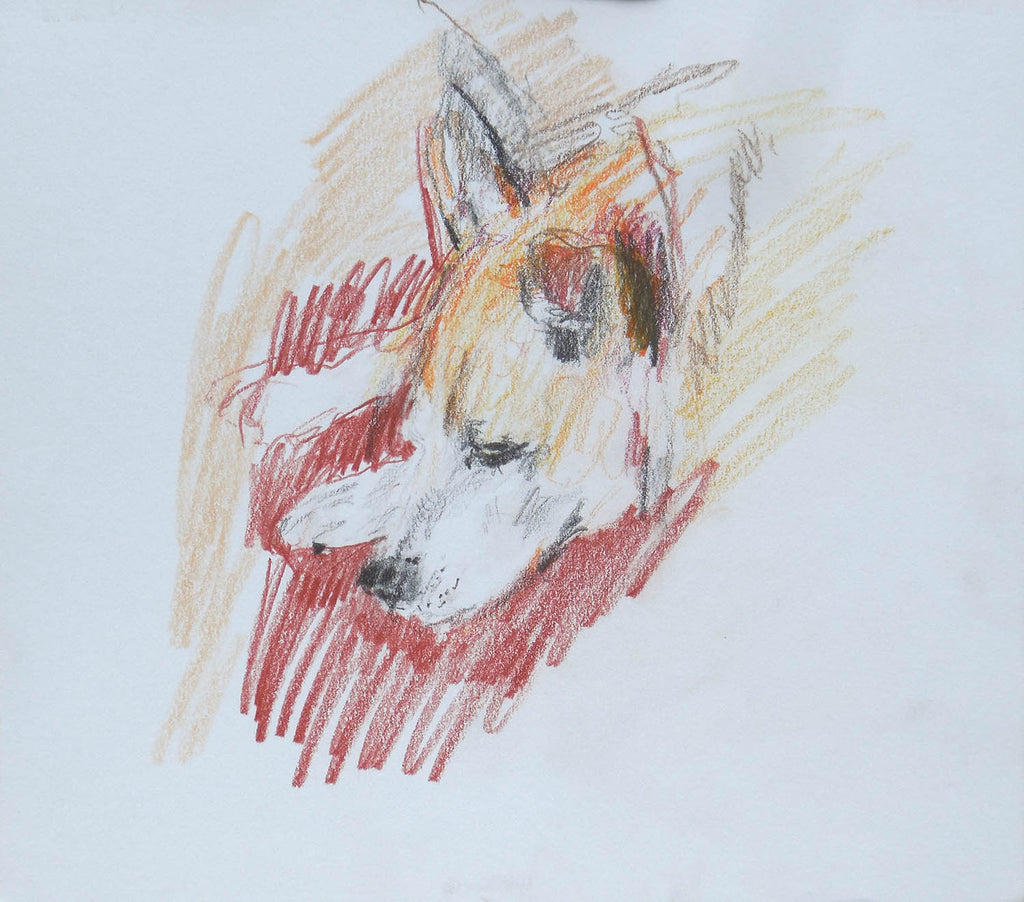 Stephen May artwork 'Rigby' at Gallery78 Fredericton, New Brunswick