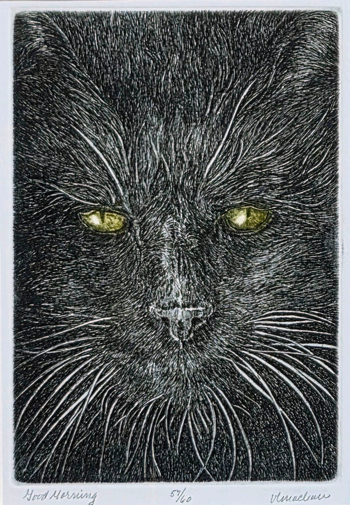 Vicki MacLean artwork 'Good Morning' at Gallery78 Fredericton, New Brunswick