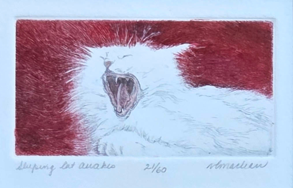 Vicki MacLean artwork 'Sleeping Cat Awakes' at Gallery78 Fredericton, New Brunswick