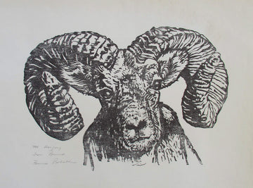 Bruno Bobak, OC, RCA artwork 'Big Horn Sheep' at Gallery78 Fredericton, New Brunswick