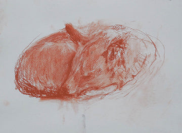 Stephen May artwork 'Rigby Curled Up II' at Gallery78 Fredericton, New Brunswick