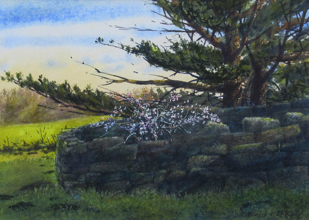 David McKay, RCA artwork 'Blossoms Inside the Old Rock Foundation' at Gallery78 Fredericton, New Brunswick