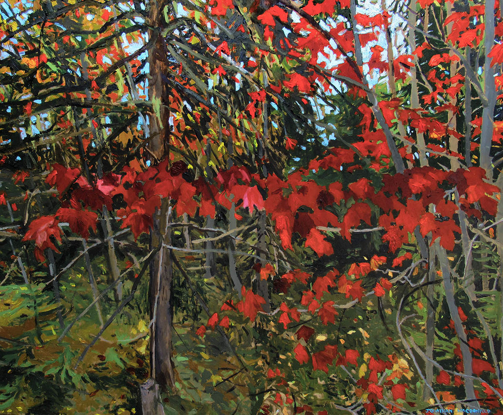 Jonathan MacDonald artwork 'Maples in Halcomb' at Gallery78 Fredericton, New Brunswick