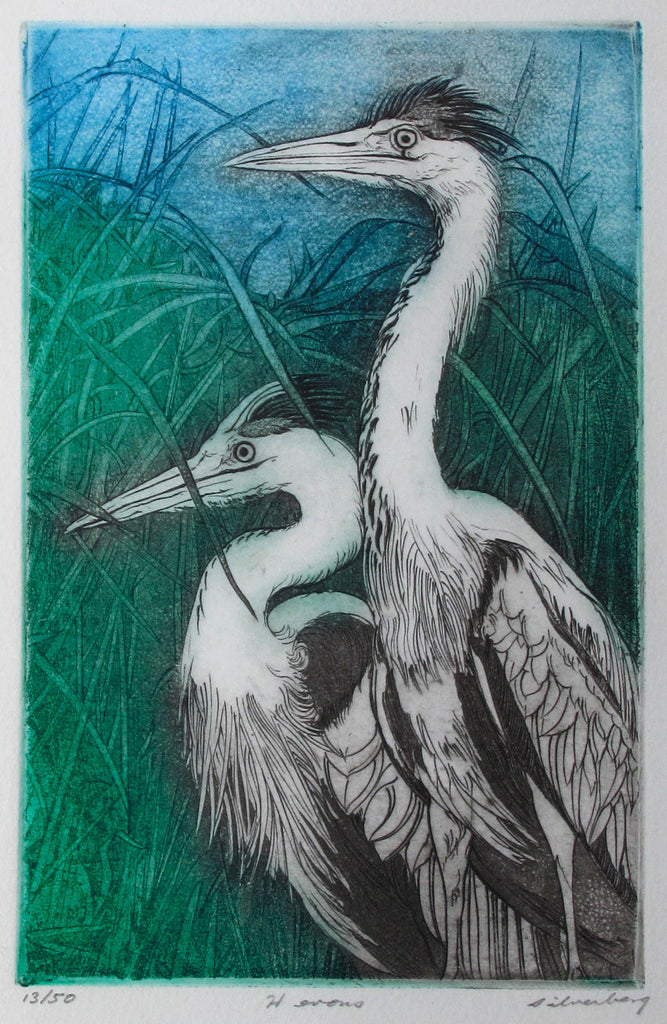 David  Silverberg, RCA artwork 'Herons' at Gallery78 Fredericton, New Brunswick