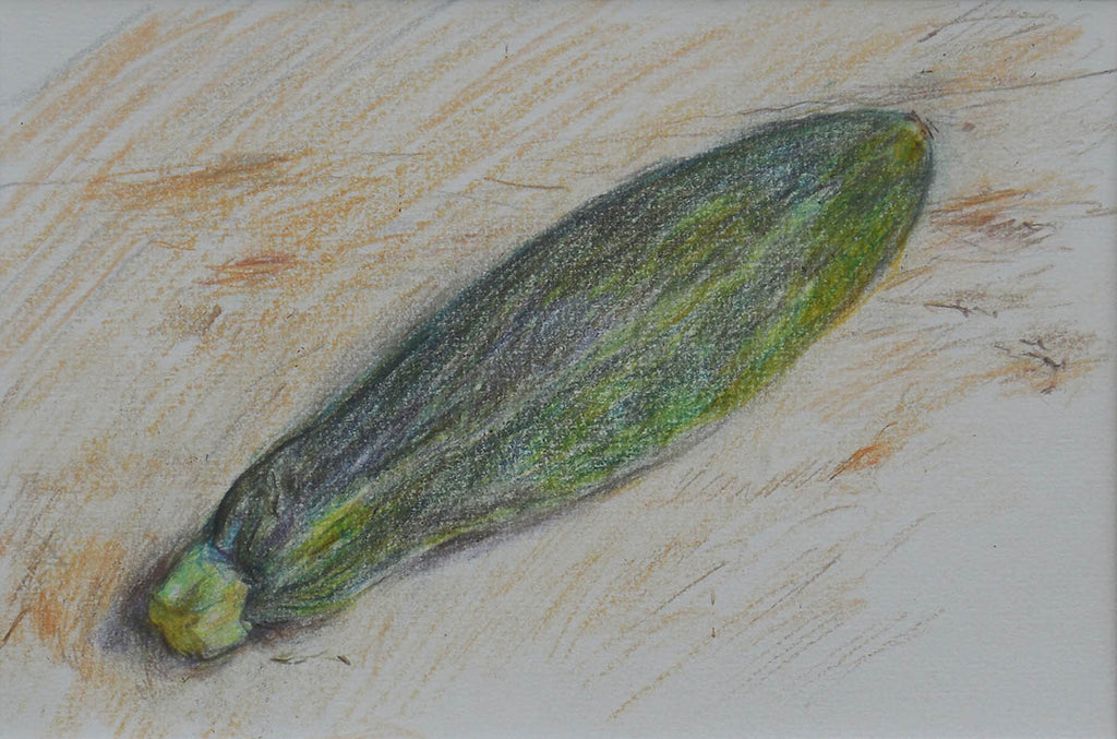 Stephen May artwork 'Local Produce: Summer Squash' at Gallery78 Fredericton, New Brunswick