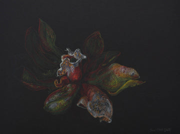 Barbara Safran de Niverville artwork 'Pitcher Plant Study' at Gallery78 Fredericton, New Brunswick