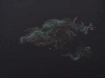 Barbara Safran de Niverville artwork 'Moose Hair Lichen Study' at Gallery78 Fredericton, New Brunswick