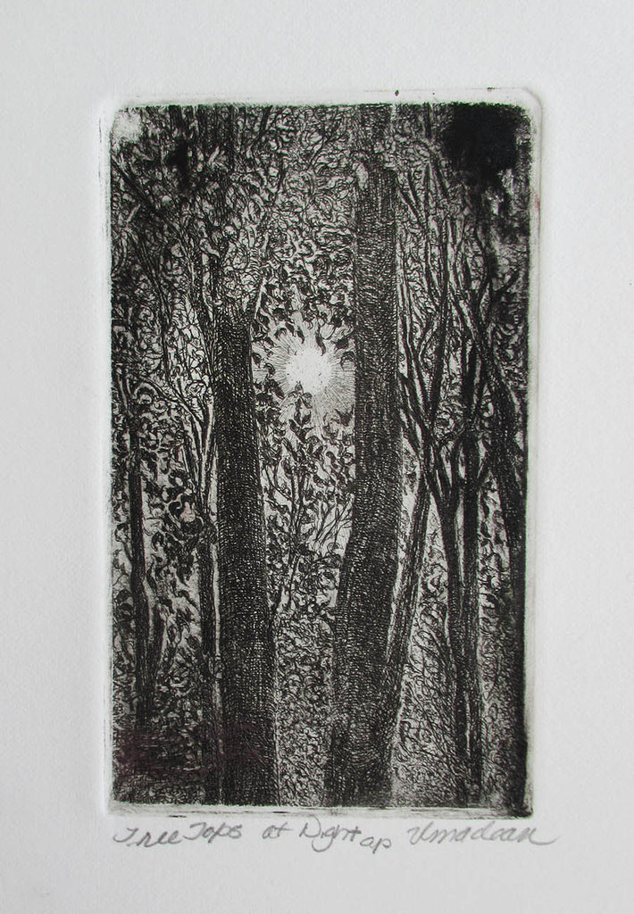 Vicki MacLean artwork 'Tree Tops at Night' at Gallery78 Fredericton, New Brunswick