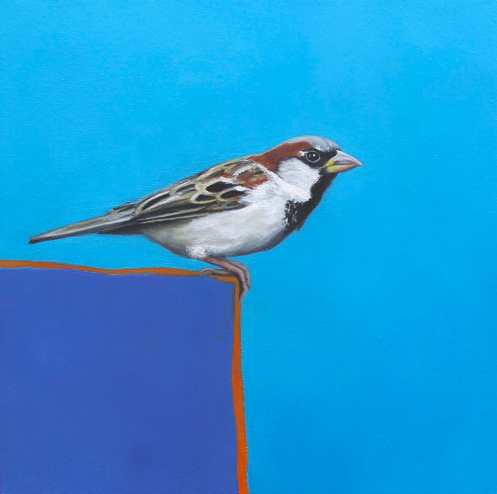 Anna Cameron artwork 'Sparrow I' at Gallery78 Fredericton, New Brunswick
