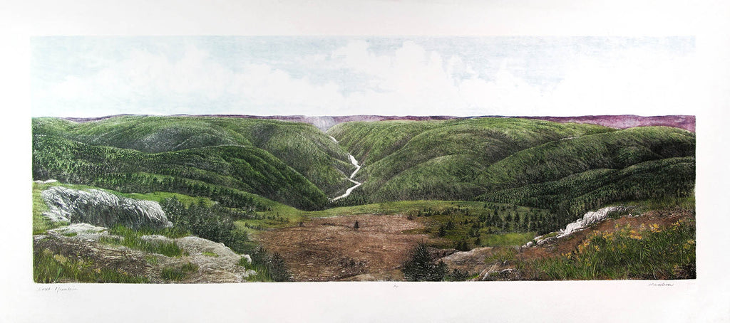 Vicki MacLean artwork 'North Mountain' at Gallery78 Fredericton, New Brunswick