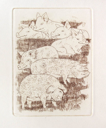 Bruno Bobak artwork 'Pigs' at Gallery78 Fredericton, New Brunswick