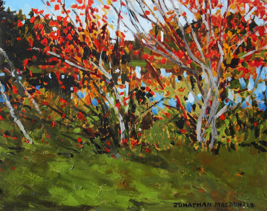 Jonathan MacDonald artwork 'Autumn in Silliker's' at Gallery78 Fredericton, New Brunswick