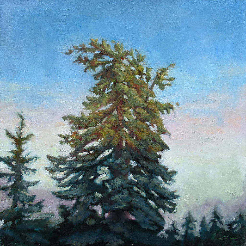 Eric Budovitch artwork 'Bent Back Fir' at Gallery78 Fredericton, New Brunswick