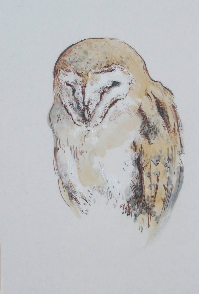 Melissa Kennedy artwork 'Resting Owl' at Gallery78 Fredericton, New Brunswick