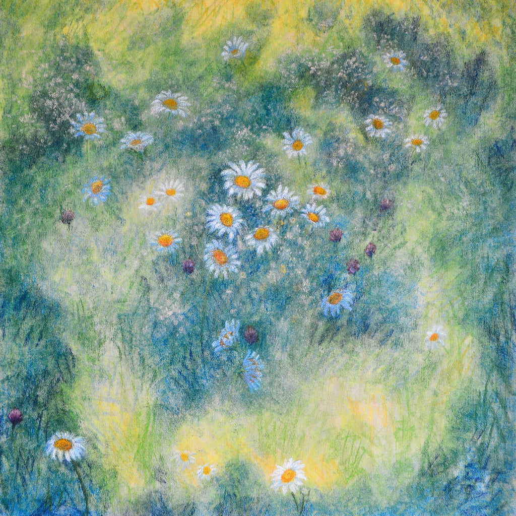 Barbara Safran de Niverville artwork 'Meadow Daisies/Les marguerites des prés' at Gallery78 Fredericton, New Brunswick