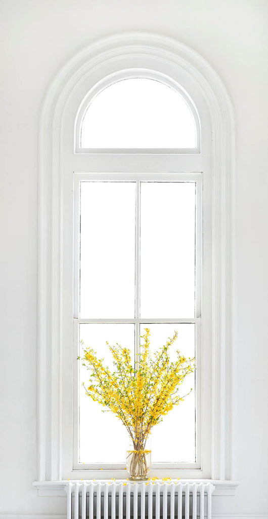 James Wilson artwork 'Forsythia (Arched Window)' at Gallery78 Fredericton, New Brunswick
