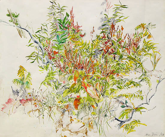 Anne  Dunn artwork 'Vegetation New Brunswick II' at Gallery78 Fredericton, New Brunswick