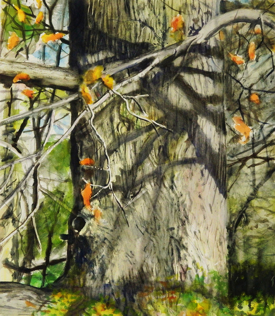 Paul Miller artwork 'Afternoon Shadow, Milton Park' at Gallery78 Fredericton, New Brunswick