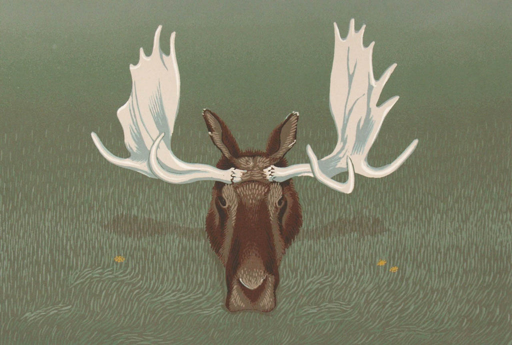Robert  Rutherford artwork 'Moose' at Gallery78 Fredericton, New Brunswick
