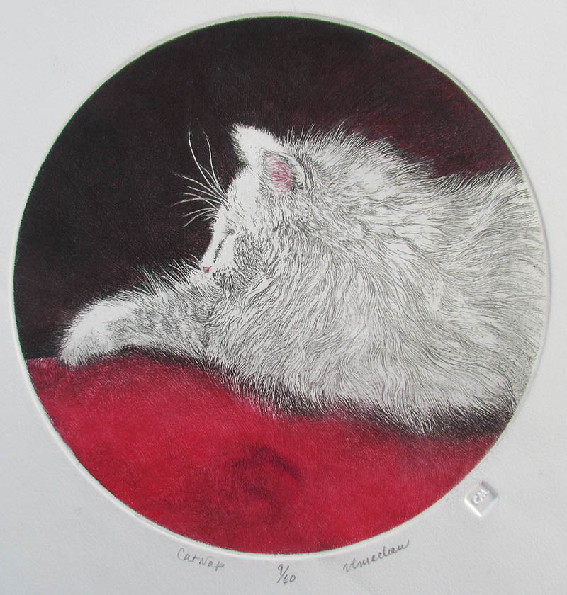 Vicki  MacLean artwork 'Cat Nap' at Gallery78 Fredericton, New Brunswick