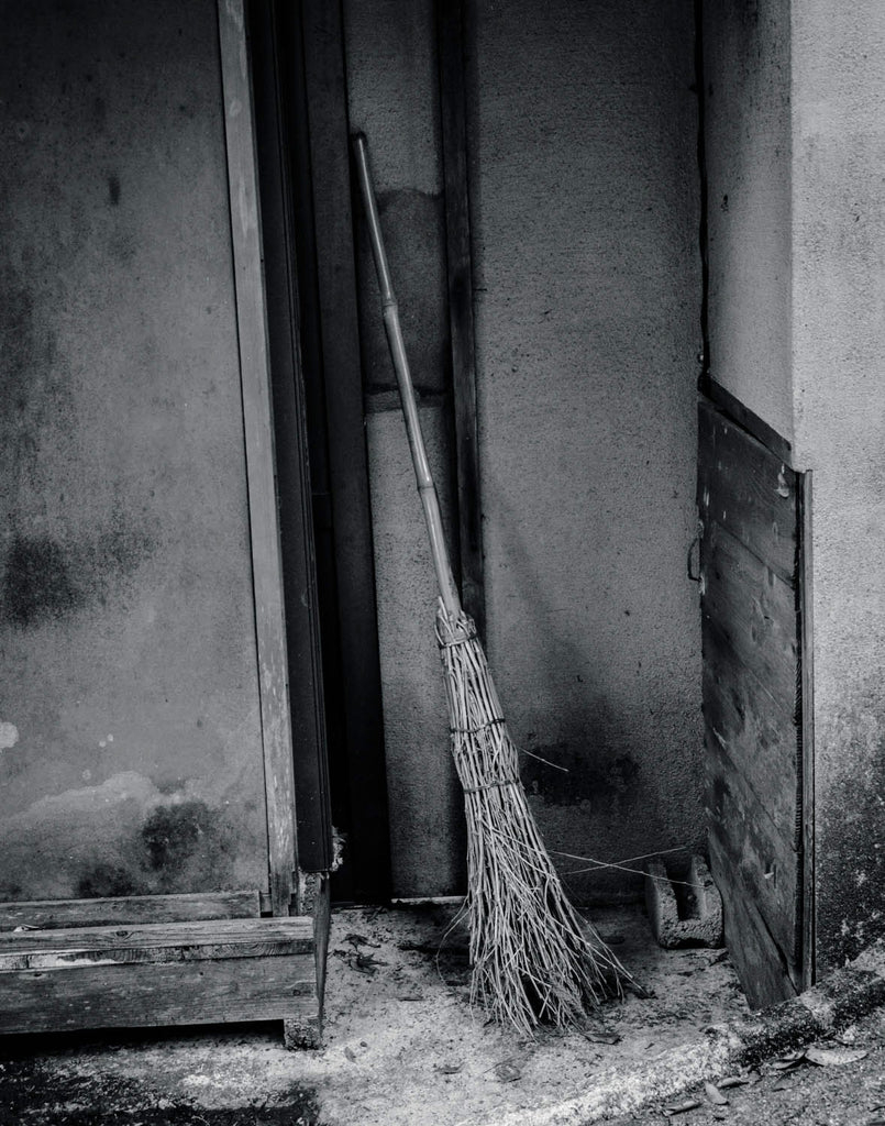 Peter Thompson artwork 'Haiku Contemplation - Broom, Enoshima, Japan' at Gallery78 Fredericton, New Brunswick